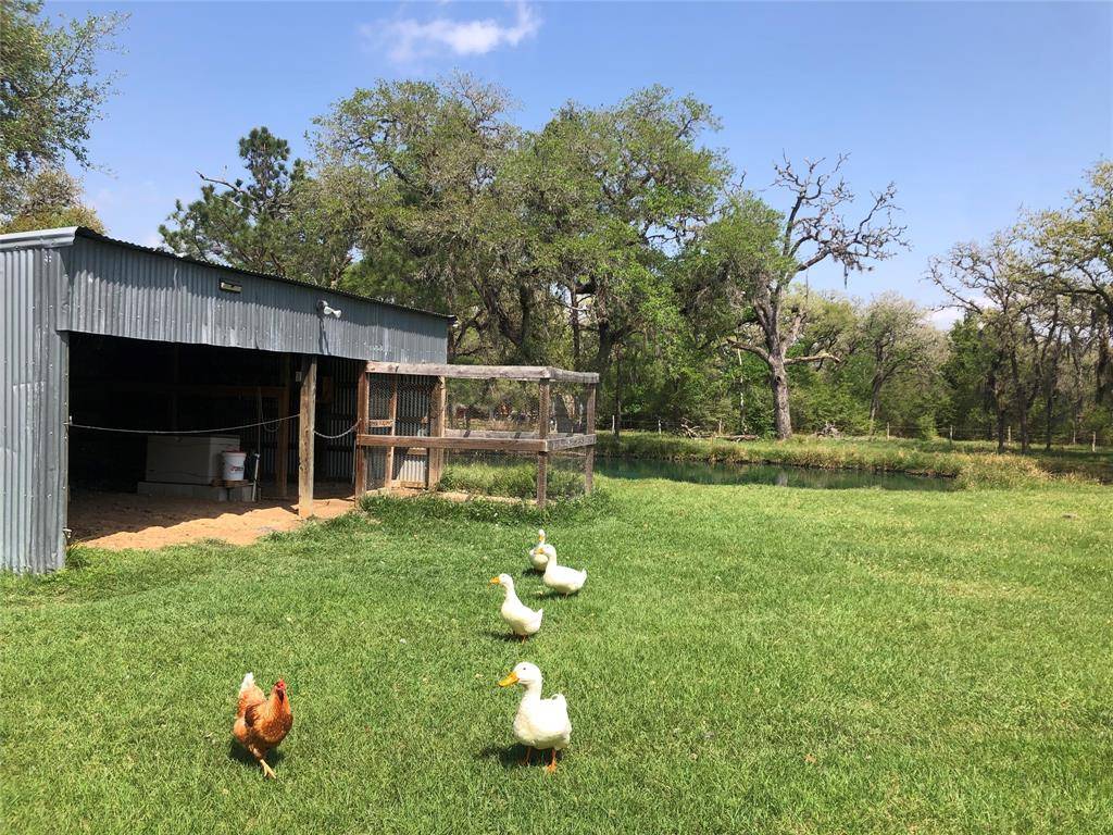 Hallettsville, TX 77964,1424 Private Road 1069