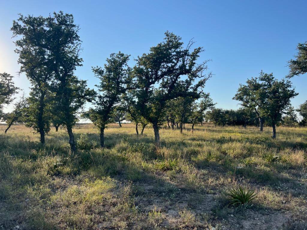 Round Mountain, TX 78663,Lot 48 Stoneridge Mountain