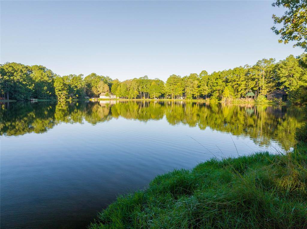 New Caney, TX 77357,2918 Parthenon PL