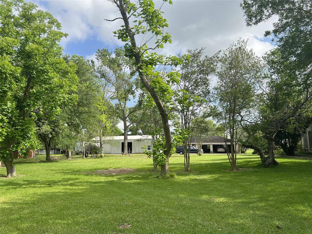 Friendswood, TX 77546,2020 Lundy Lane