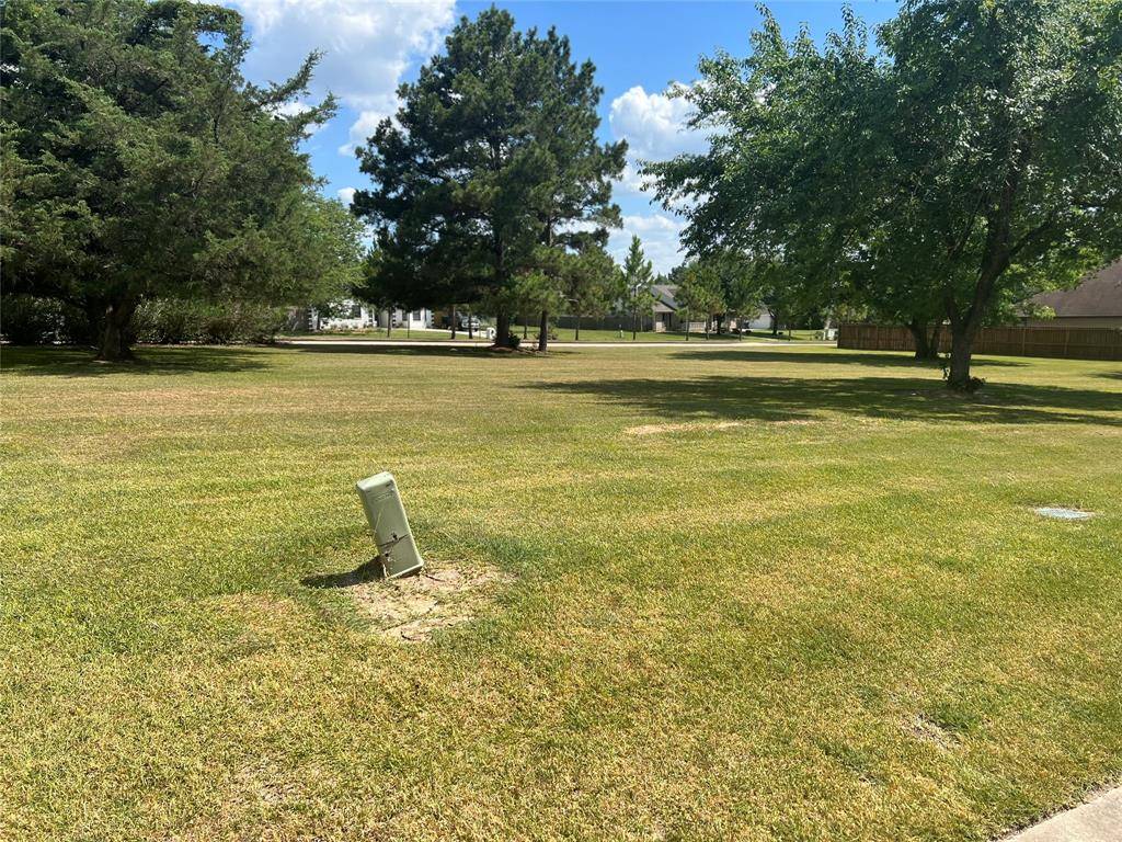 Willis, TX 77318,12907 Andromeda Ct