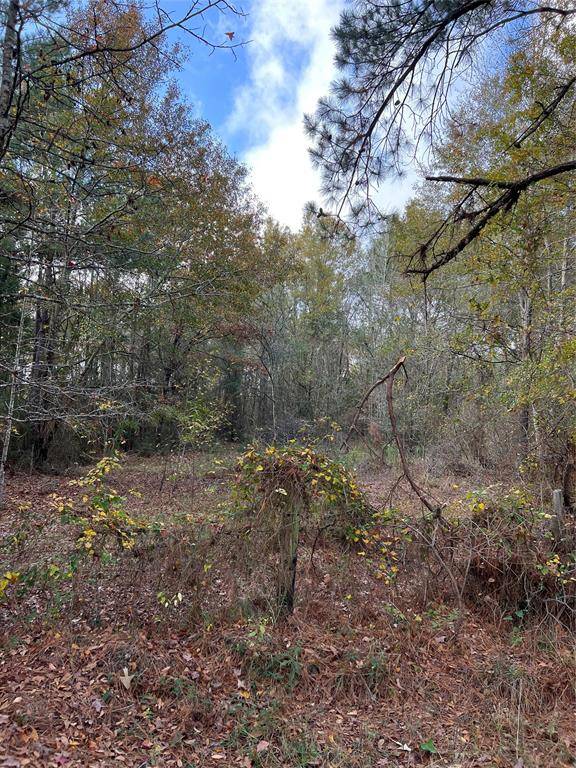 Kennard, TX 75847,5460 CR 4545 Tract 1