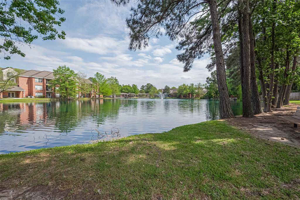 The Woodlands, TX 77381,114 N Magnolia Pond PL #114