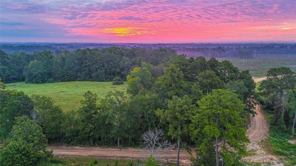 Newton, TX 75966,TBD County Road 3038