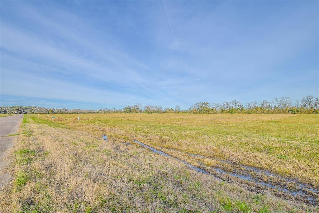 Angleton, TX 77515,1 Brahman TRL