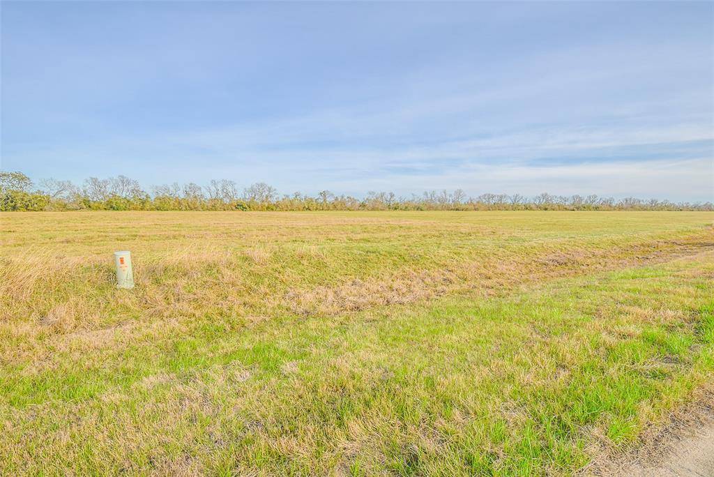 Angleton, TX 77515,1 Brahman TRL