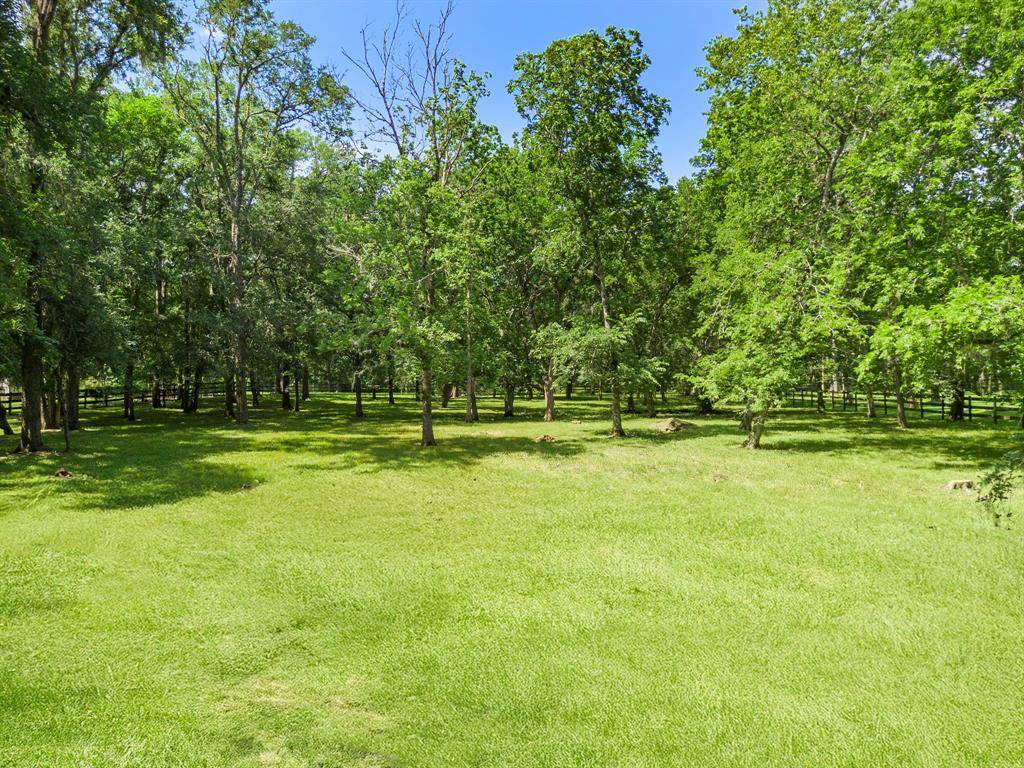 Fulshear, TX 77441,5011 Woodshore LN
