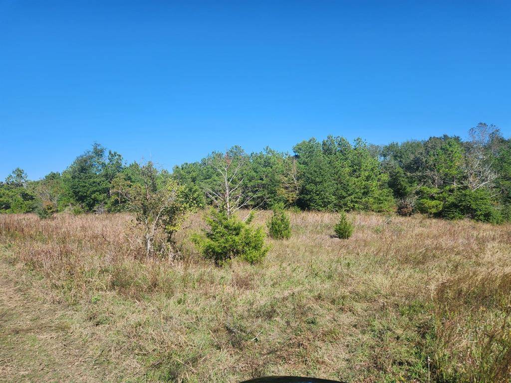 Navasota, TX 77868,Lot 26 Magnolia LOOP