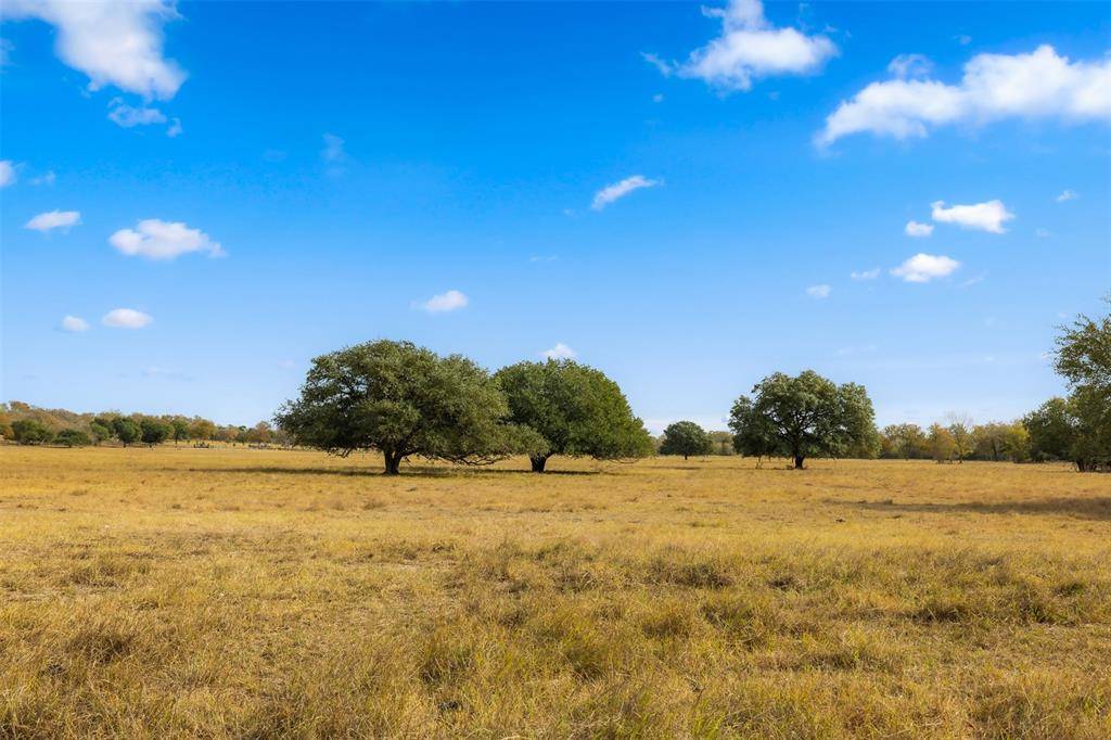 Round Top, TX 78954,TBD S Weyand RD