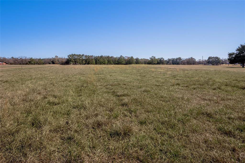 Trinity, TX 75862,Lot 7 New Orleans AVE