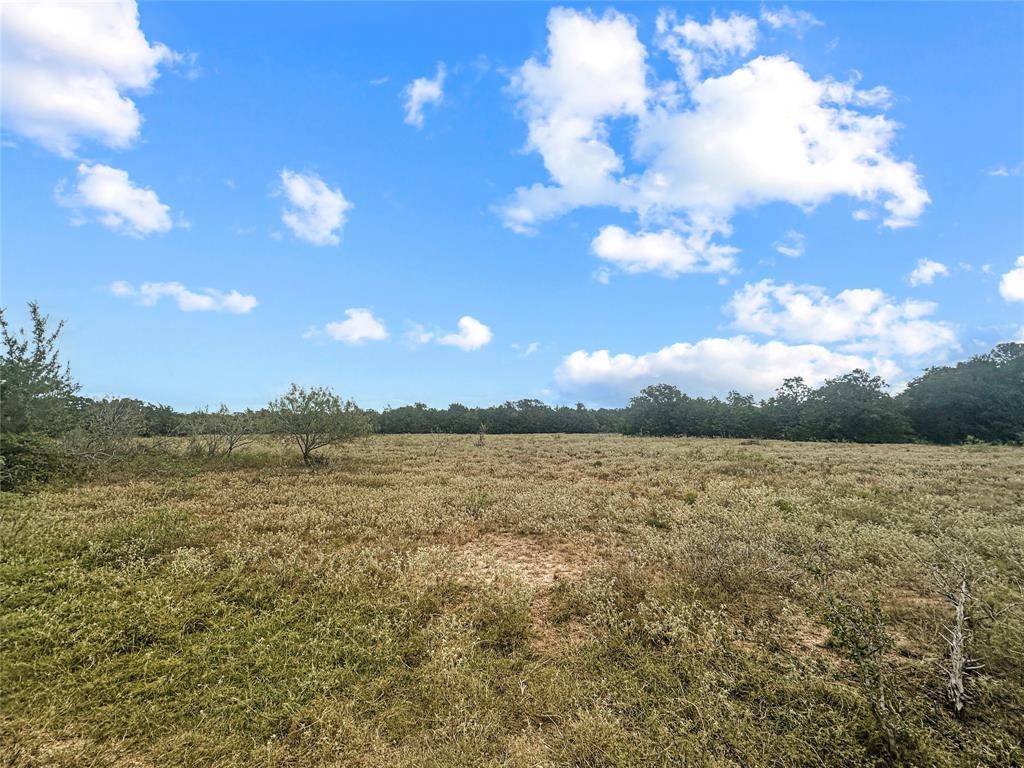 Muldoon, TX 78949,33 +/- acres Davis RD