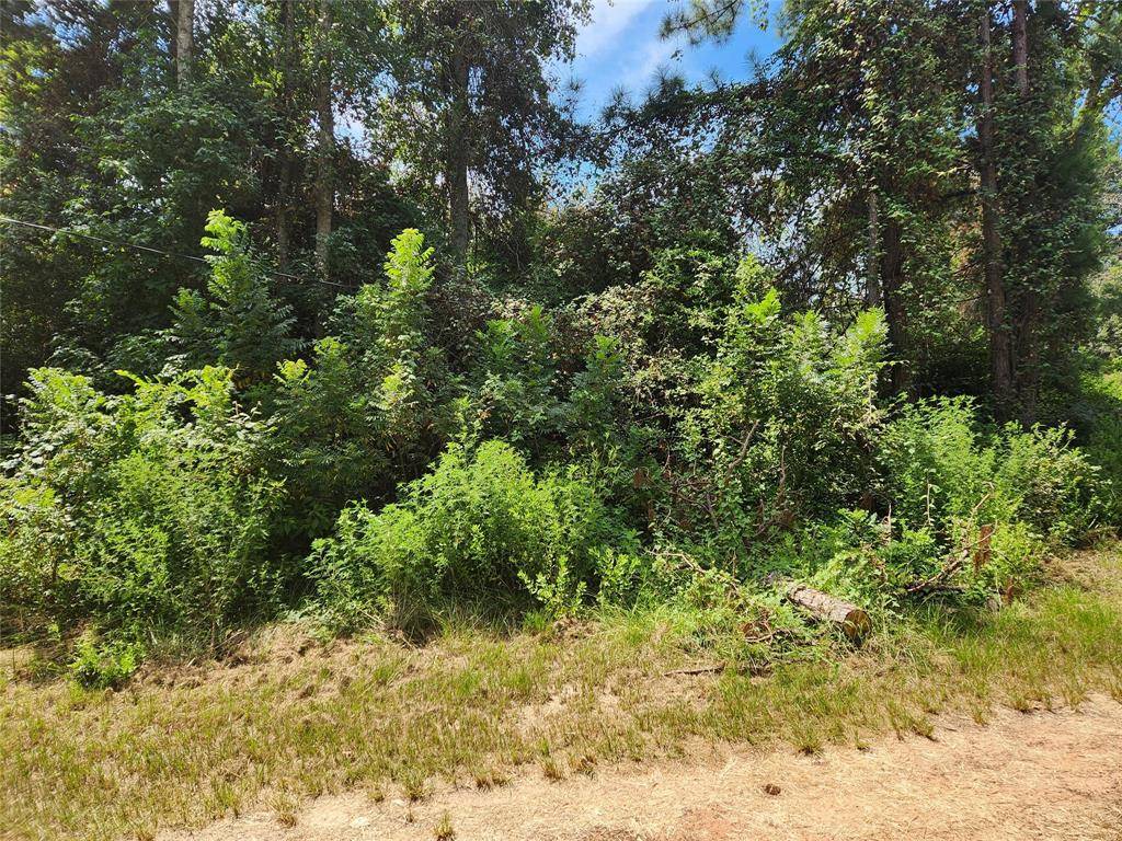 Plantersville, TX 77363,Lot 26 Mayhaw LN