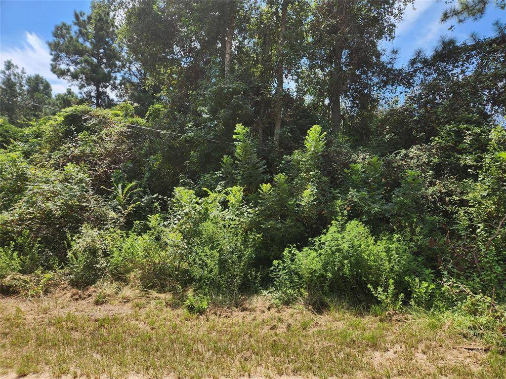 Plantersville, TX 77363,Lot 26 Mayhaw LN