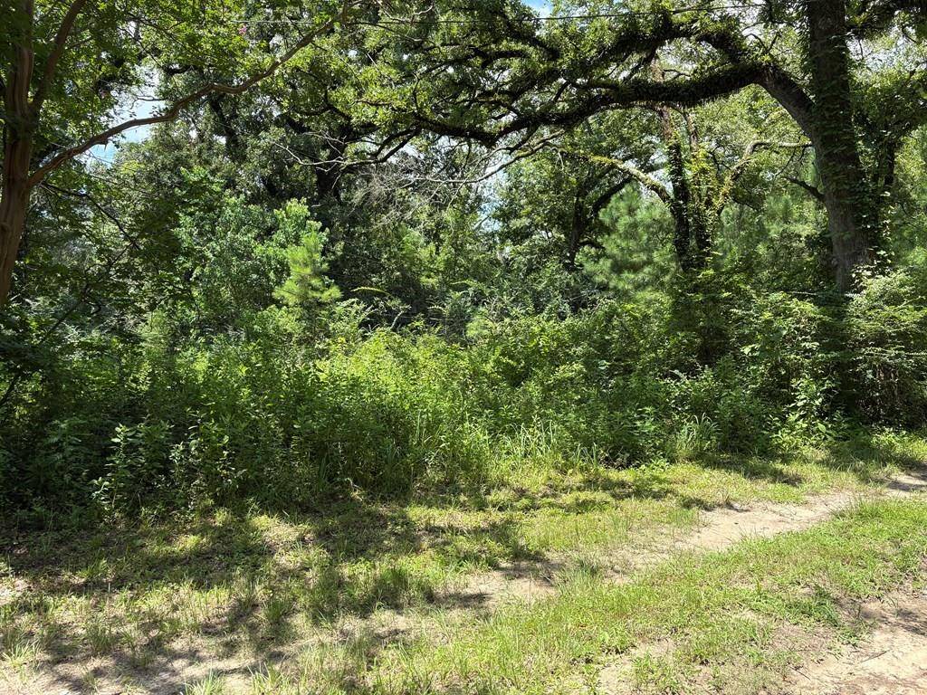 Lufkin, TX 75904,3100 North John Redditt Drive