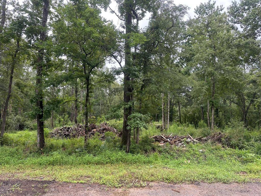 Conroe, TX 77302,Lot 8 Redbud Dr