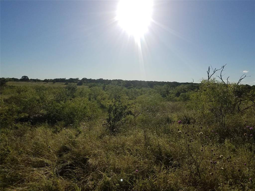 Buckholts, TX 76518,TBD N FM 487