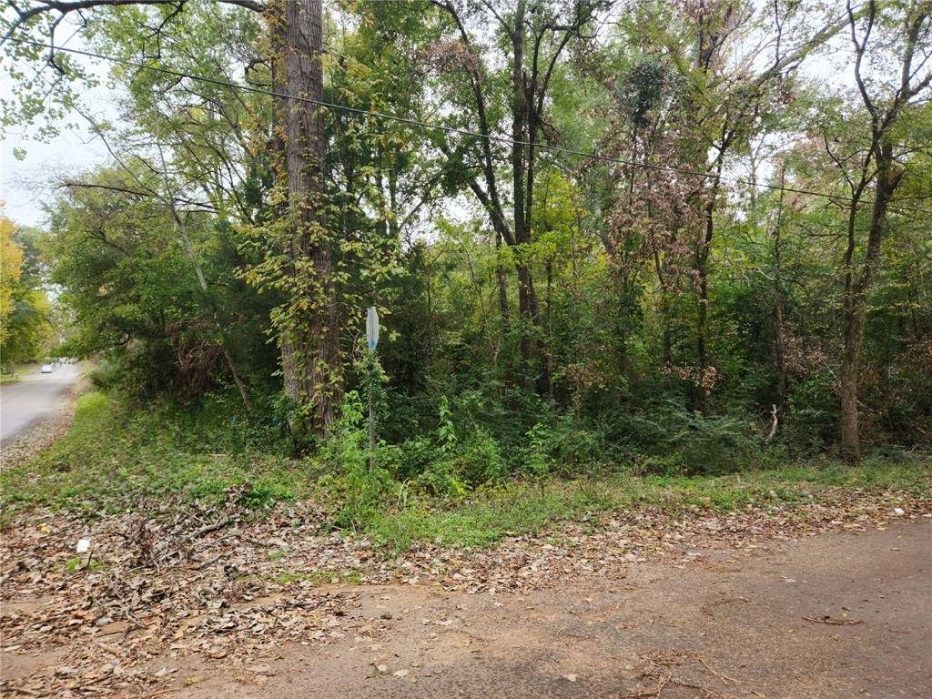 Palestine, TX 75801,1103 Lot 2 S Jackson ST