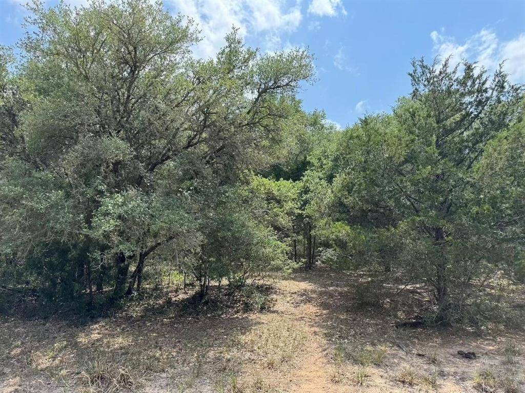 Hallettsville, TX 77964,TBD County Road 122