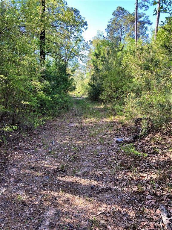 Conroe, TX 77306,000 Petty Walker Road