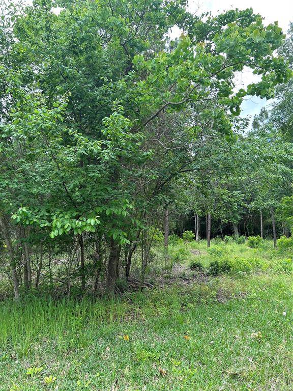 Livingston, TX 77351,1128 Timberglen DR