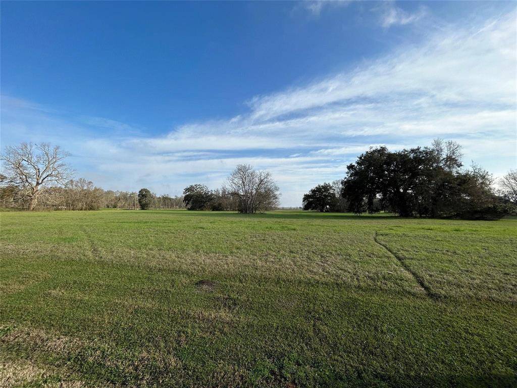 Angleton, TX 77515,101 Cattle Drive TRL