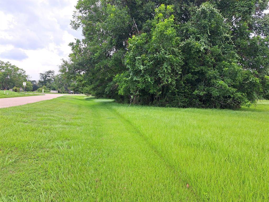 Angleton, TX 77515,101 Cattle Drive TRL