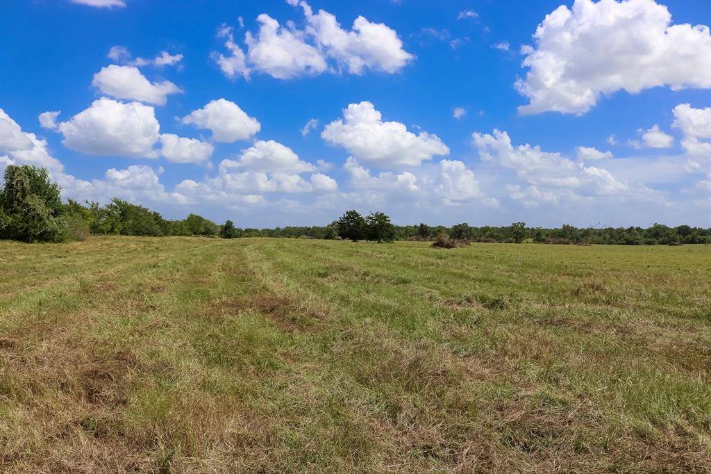 Anderson, TX 77830,Lot 4 County Rd 219