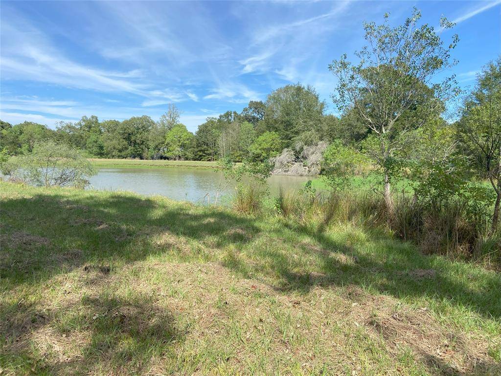 Cleveland, TX 77327,TBD Sour Lake Cir