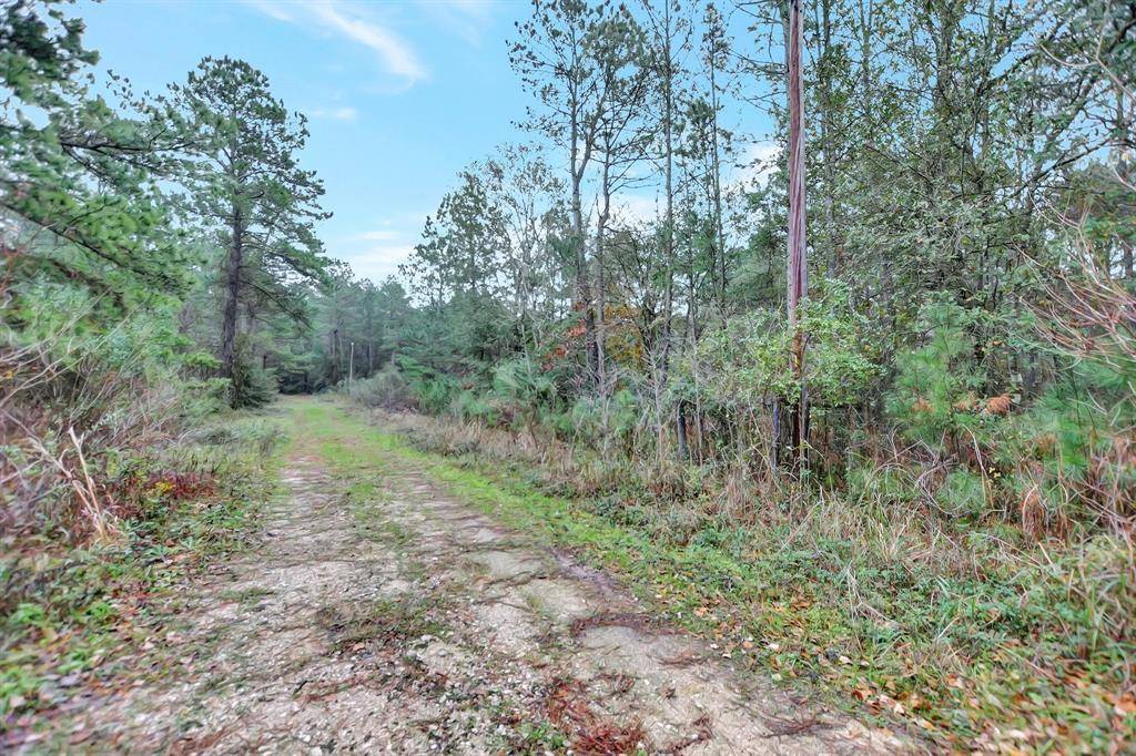 Plantersville, TX 77363,TBD County Road 351