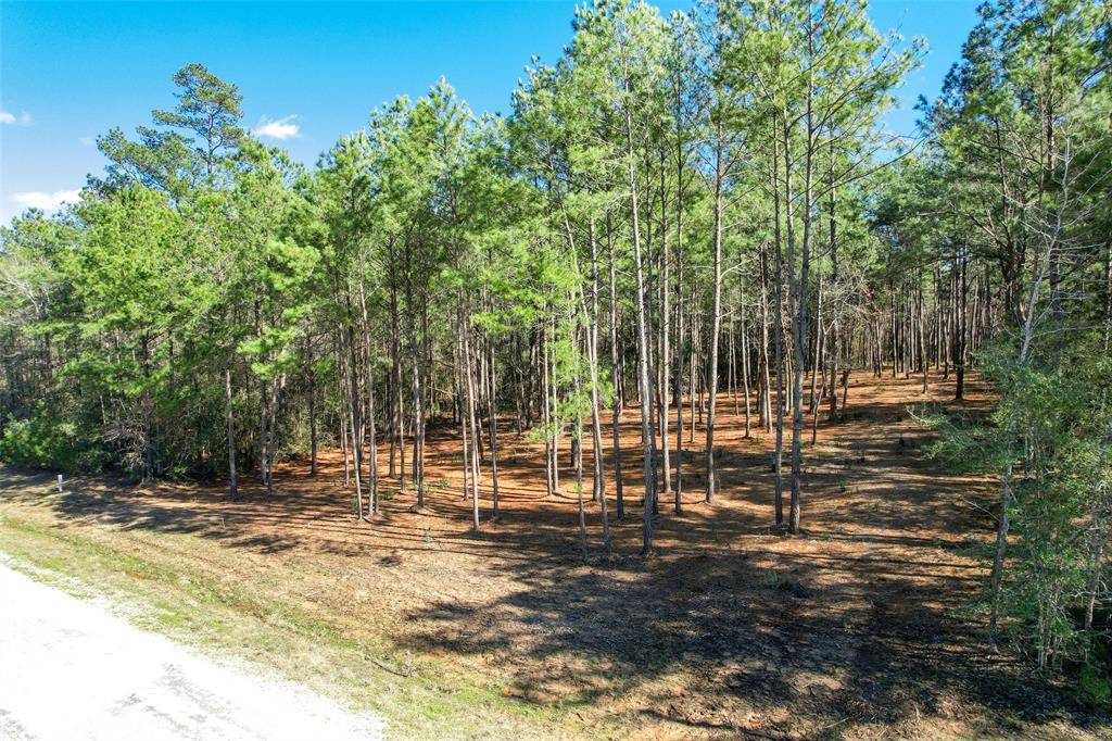 Huntsville, TX 77340,Lot 17 Texas Grand Ranch RD