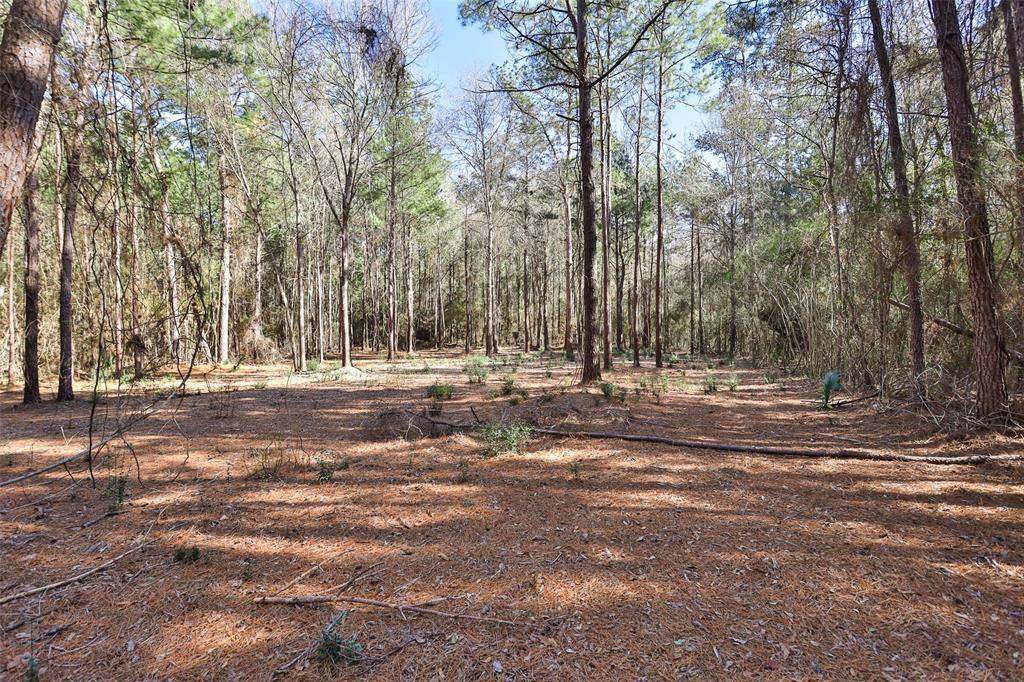 Huntsville, TX 77340,Lot 17 Texas Grand Ranch RD