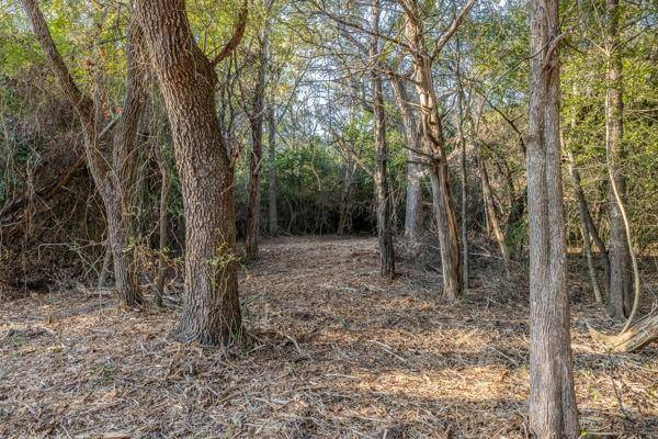 Round Top, TX 78954,TBD Drake Lane-Lot 11