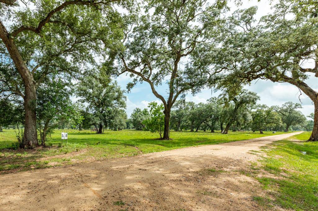 Van Vleck, TX 77482,475 Valley Oaks Drive