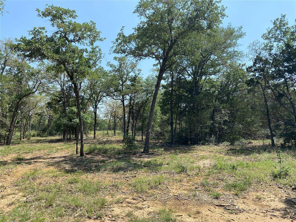 Smithville, TX 78957,TBD High Crossing Road - Tract 7