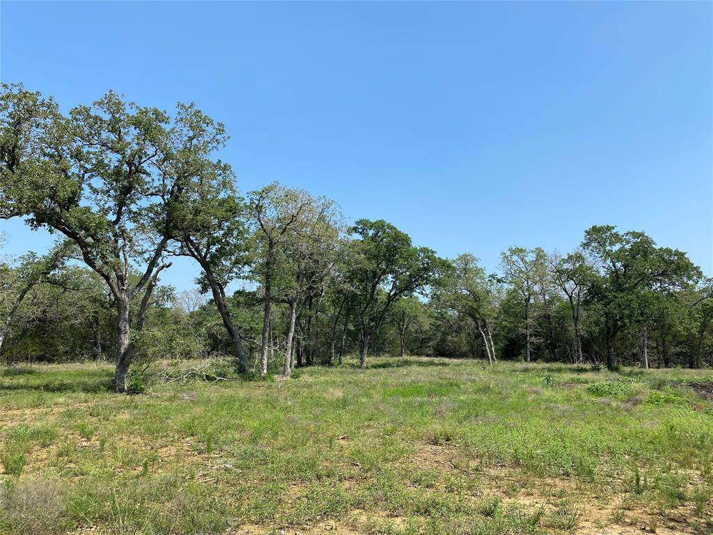 Smithville, TX 78957,TBD High Crossing Road - Tract 7