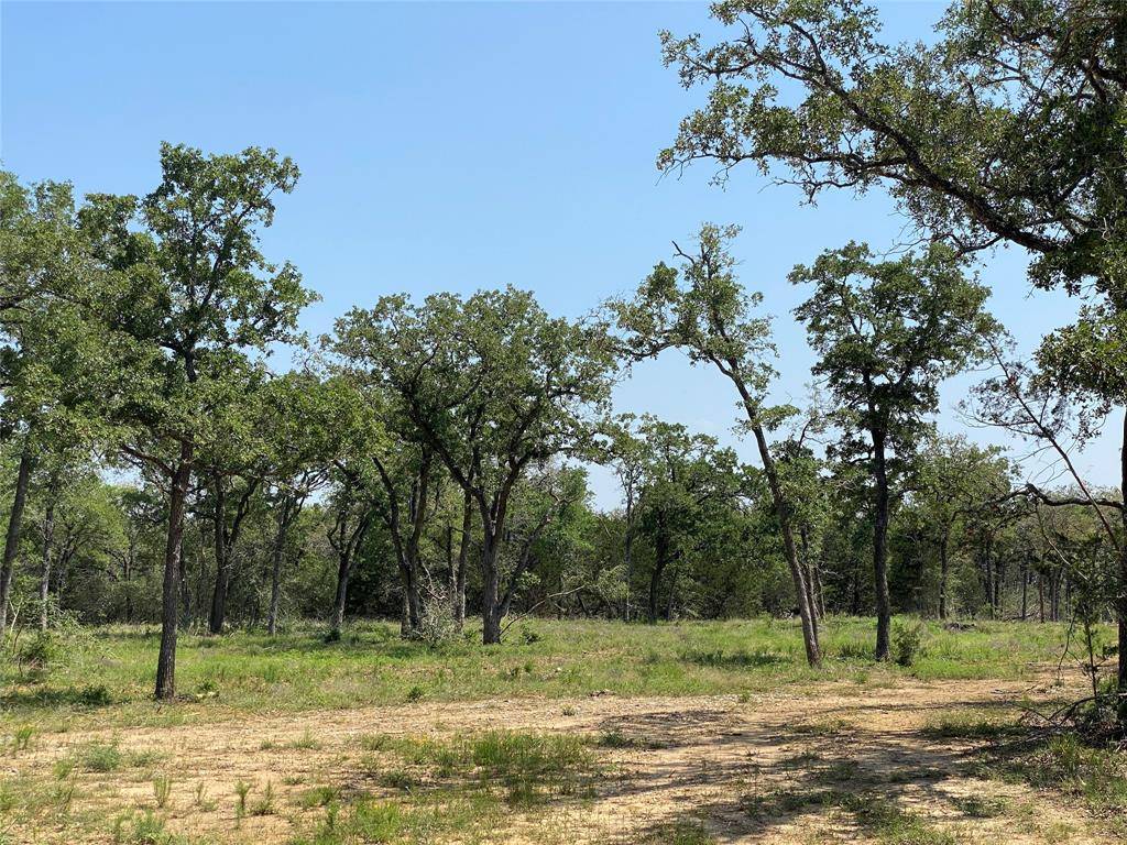 Smithville, TX 78957,TBD High Crossing Road - Tract 7