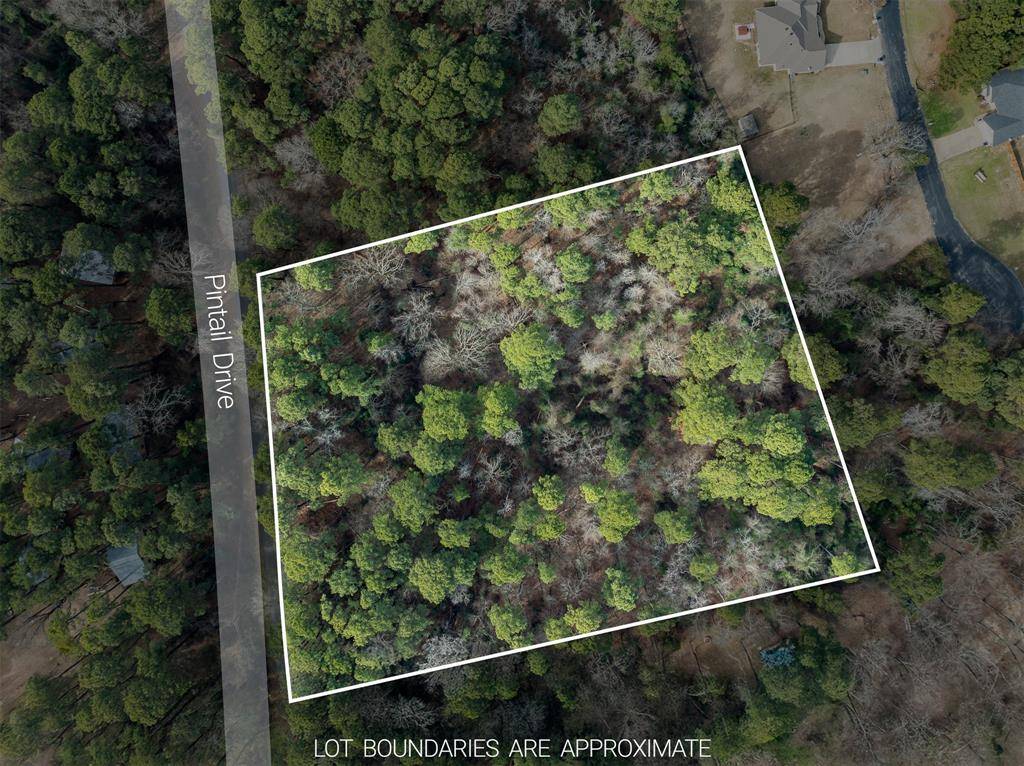 Flint, TX 75762,17498 Pintail DR