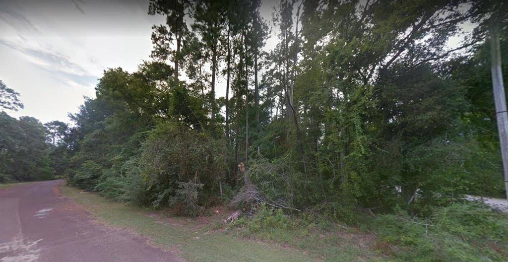 New Caney, TX 77357,Block 8 LOT 1 Roman Forest