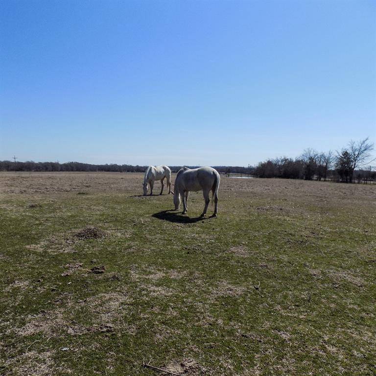 Bedias, TX 77831,TBD FM 39 Tract 3