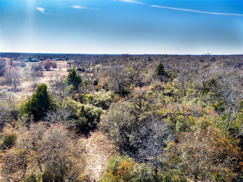 Caldwell, TX 77836,4.4 AC Silver Springs RD