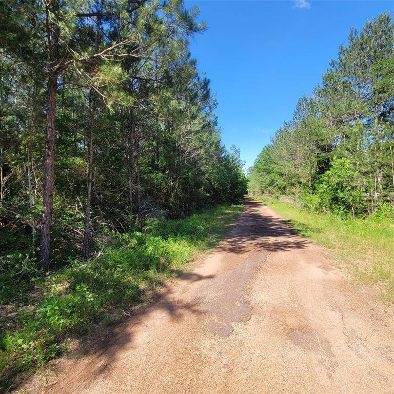 Plantersville, TX 77363,TBD Lot 4 Pin Oak DR