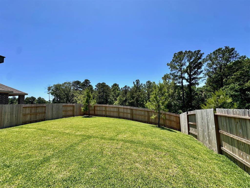 Conroe, TX 77304,6151 White Spruce DR