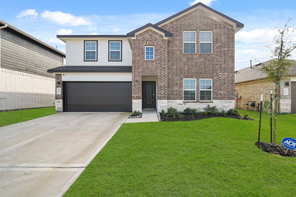 Rosharon, TX 77583,922 Curly Angora CT