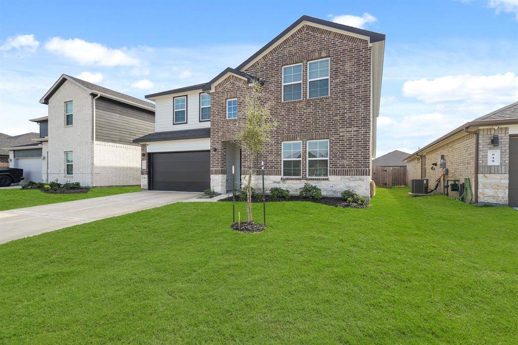 Rosharon, TX 77583,922 Curly Angora CT