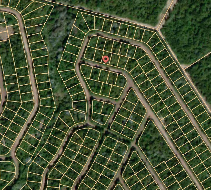 Normangee, TX 77871,Lot 51 E Austin Colony