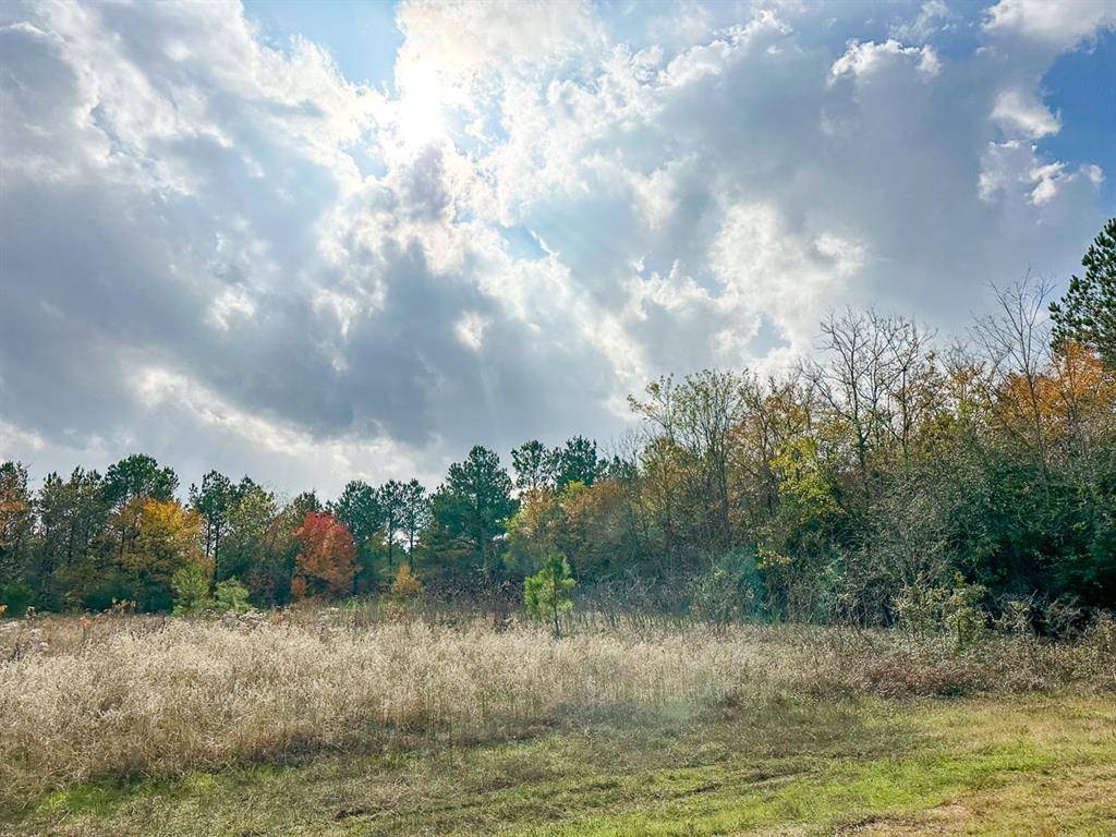 Hughes Springs, TX 75656,00 CR 2115