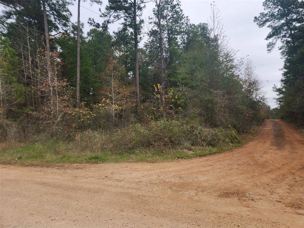 Plantersville, TX 77363,Lot 1 Yupon LN