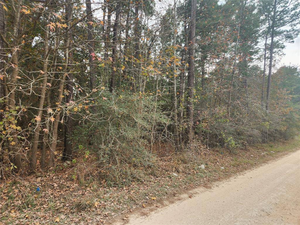 Plantersville, TX 77363,Lot 1 Yupon LN