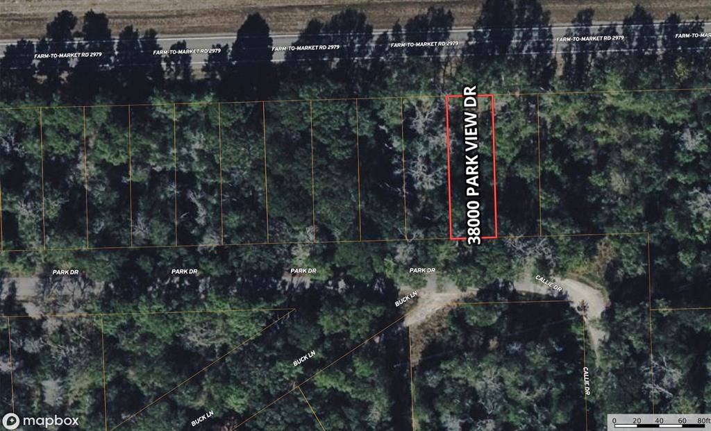 Hempstead, TX 77445,38000 Park View DR