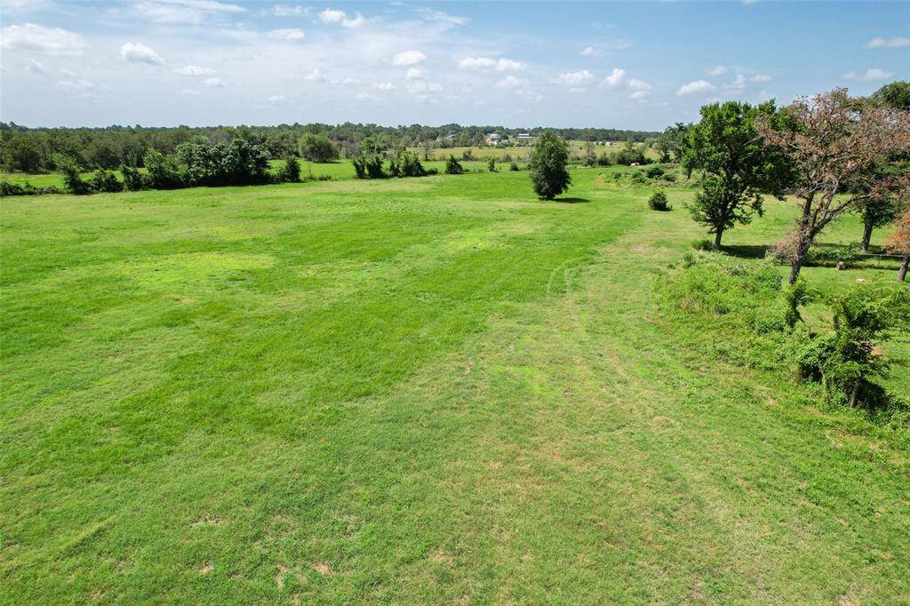 Bedias, TX 77831,TBD Lacy Ln